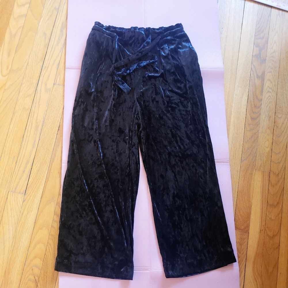 Zara Crushed Faux Velvet Tie-Waist Pants — Size L